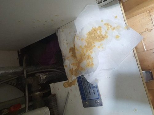 동탄구 하수구막힘 신동 하수구막힘 아파트 역류, 장마철 직접 확인해 보니